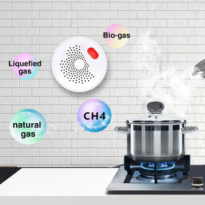 HomeShield Smart Gas