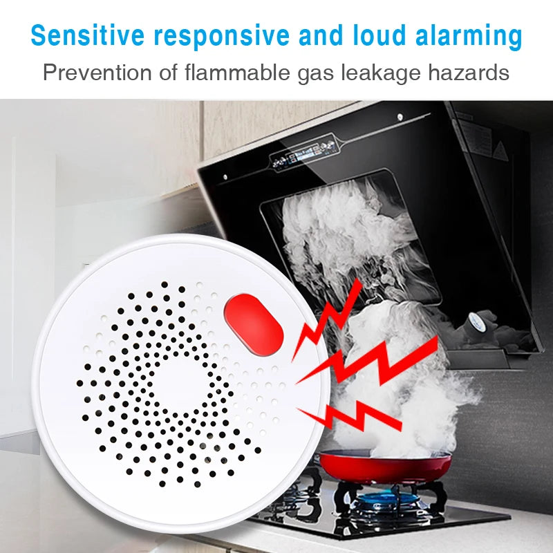 HomeShield Smart Gas